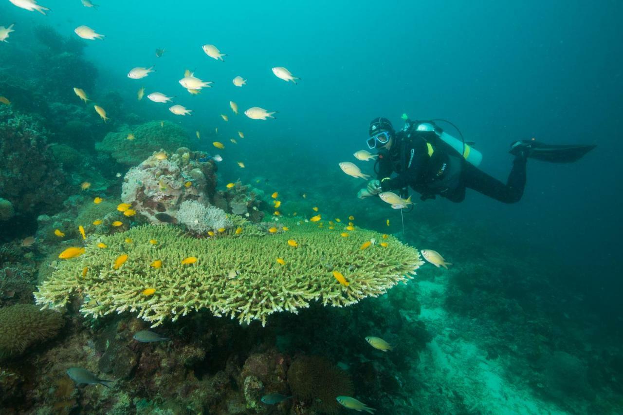 Magic Oceans Dive Resort Anda  Εξωτερικό φωτογραφία